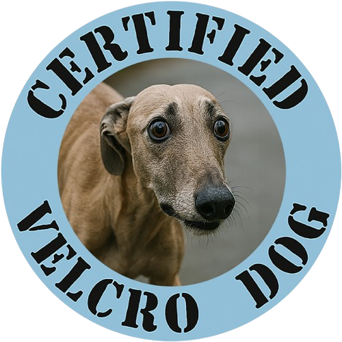 Certified Velcro Dog T-Shirt – Funny Greyhound Pet Lover Tee