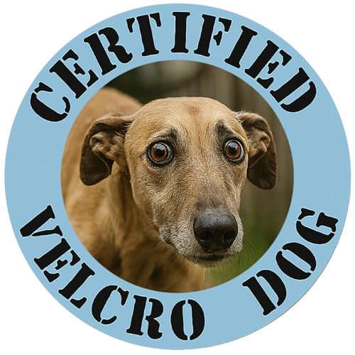 T-Shirt — "Certified Velcro Dog" Graphic Tee (Funny Dog Lover Shirt)