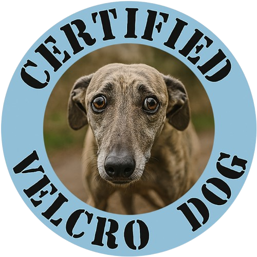 Certified Velcro Dog T‑Shirt — Funny Dog Lover Tee