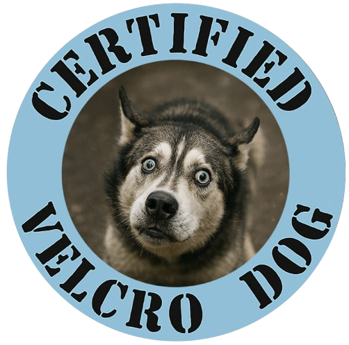 Certified Velcro Dog T‑Shirt — Funny Dog Lover Tee