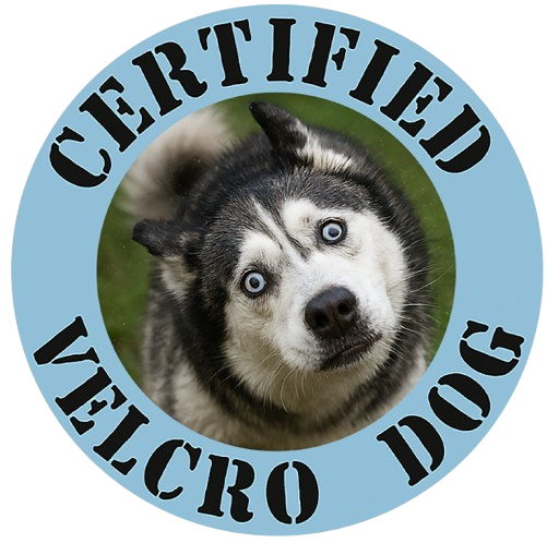 Certified Velcro Dog T‑Shirt — Funny Husky Pet Lover Tee