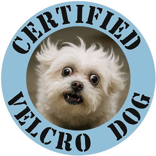 Certified Velcro Dog T‑Shirt — Funny Cute Small Dog Face Tee
