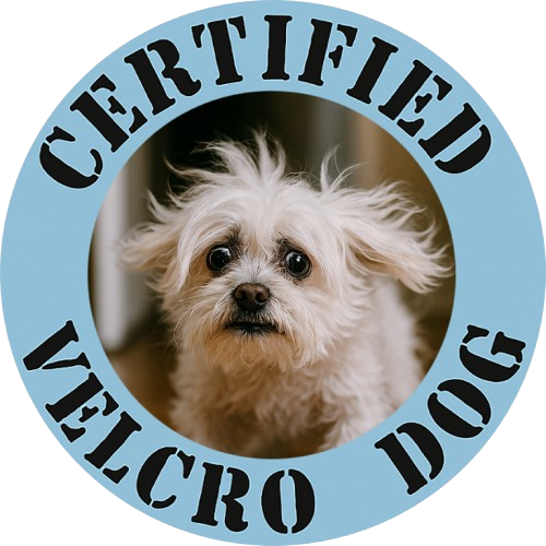 Certified Velcro Dog T‑Shirt — Funny Pet Lover Tee with Cute Dog Photo