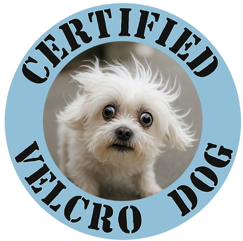 Certified Velcro Dog T-Shirt — Funny Small Dog Lover Tee