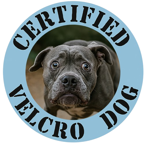 Certified Velcro Dog T-Shirt