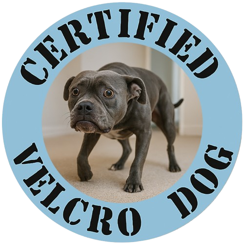Certified Velcro Dog T-Shirt — Funny Pet Lover Tee