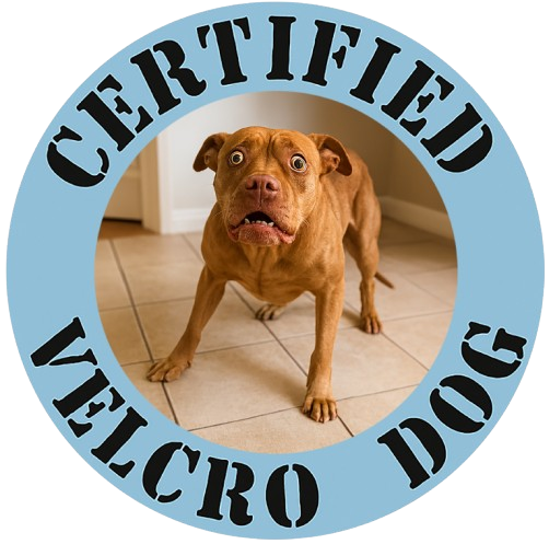 Certified Velcro Dog T-Shirt — Funny Dog Lover Tee