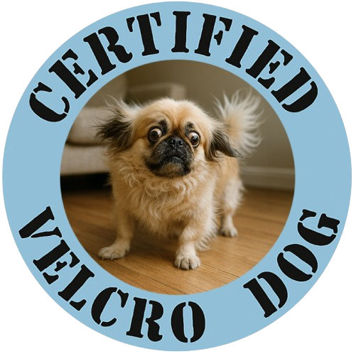 Certified Velcro Dog T‑Shirt — Funny Pug Rescue Pet Lover Tee