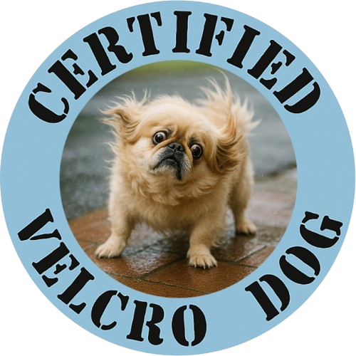 T-Shirt — "Certified Velcro Dog" Cute Puppy Graphic Tee