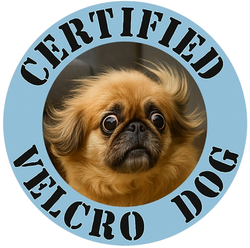 Certified Velcro Dog T-Shirt — Cute Pekingese Graphic Tee
