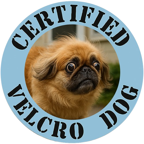 Certified Velcro Dog T‑Shirt — Funny Pug Badge Tee