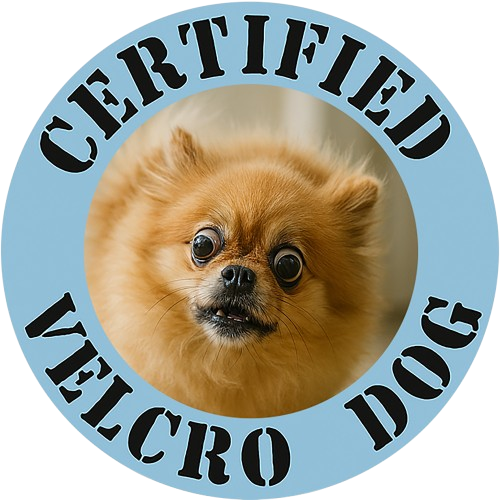 Certified Velcro Dog T‑Shirt — Funny Pomeranian Pet Lover Tee