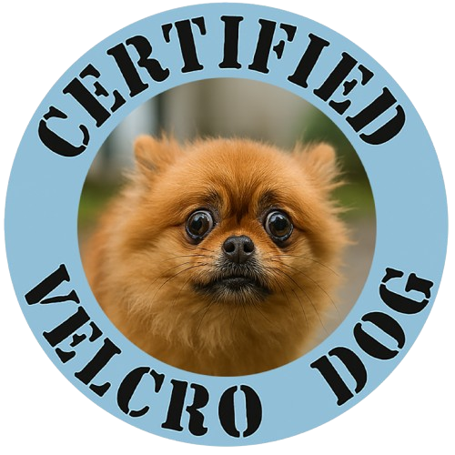 Certified Velcro Dog T-Shirt — Funny Pomeranian Pet Lover Tee