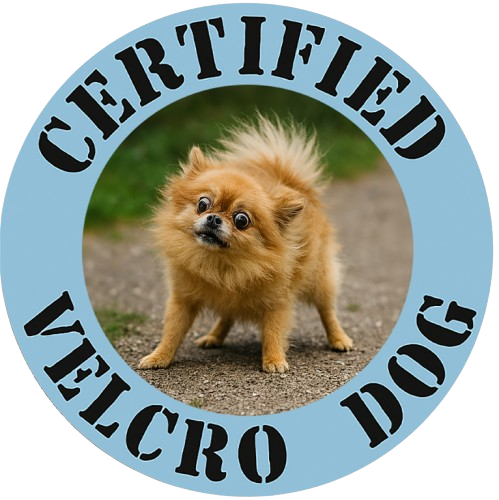 Certified Velcro Dog T-Shirt – Funny Pomeranian Pet Lover Tee