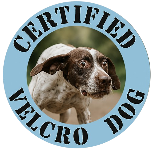 Certified Velcro Dog T‑Shirt — Funny Dog Owner Tee