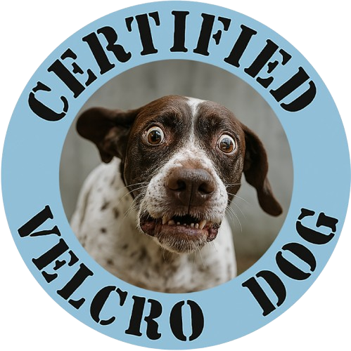 Certified Velcro Dog T‑Shirt — Funny Dog Lover Tee
