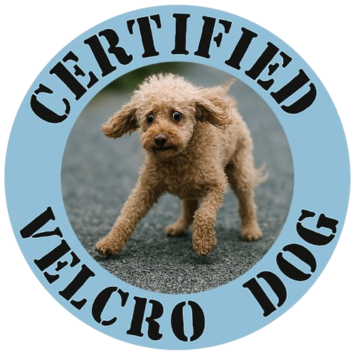 Certified Velcro Dog T-Shirt — Cute Funny Puppy Graphic Tee