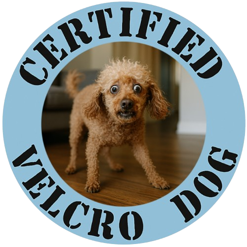 Certified Velcro Dog T-Shirt — Funny Dog Meme Tee