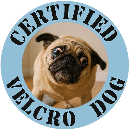 T-Shirt — "Certified Velcro Dog" Pug Graphic Tee