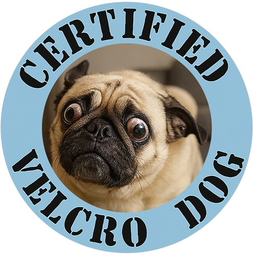 Certified Velcro Dog T-Shirt – Cute Pug Graphic Tee