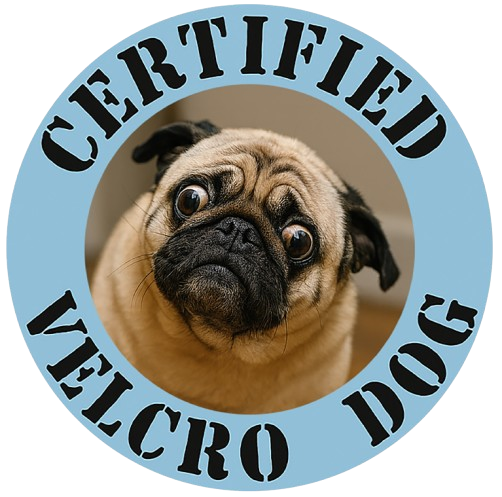 Pug "Certified Velcro Dog" T-Shirt