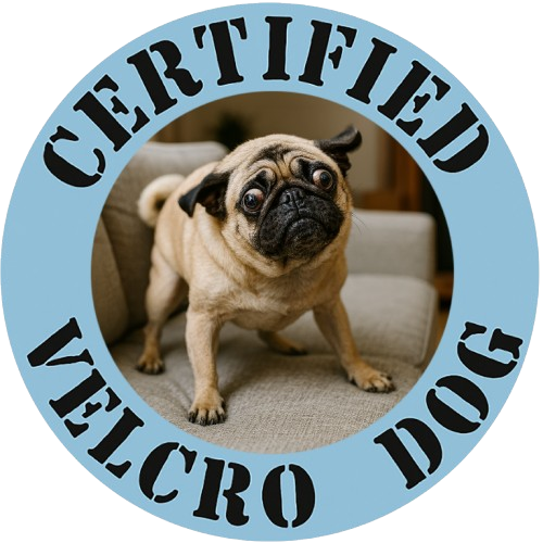 Certified Velcro Dog T‑Shirt