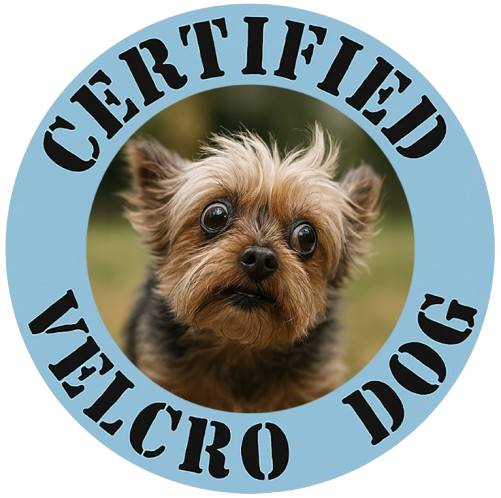 Certified Velcro Dog T-Shirt — Funny Pet Lover Tee with Yorkie Badge