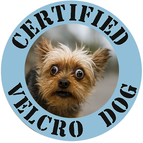 Certified Velcro Dog T‑Shirt — Funny Cute Yorkie Face Tee