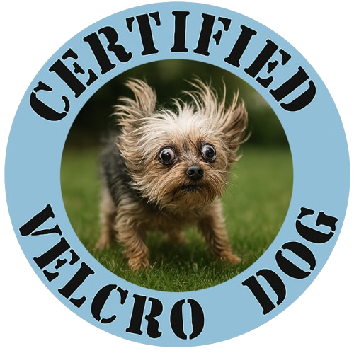 Certified Velcro Dog T-Shirt — Funny Vintage Pet Graphic Tee