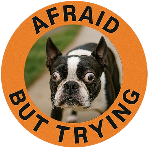 Afraid But Trying T-Shirt — Cute Boston Terrier Motivational Tee