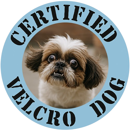 Certified Velcro Dog T‑Shirt — Funny Shih Tzu Pet Tee