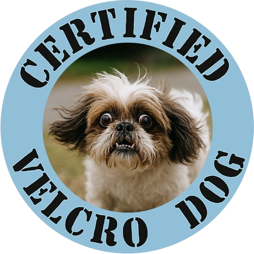 Certified Velcro Dog T‑Shirt — Cute Shih Tzu Pet Lover Tee