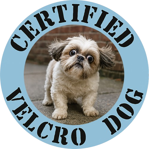 Certified Velcro Dog T‑Shirt — Funny Shih Tzu Pet Lover Tee