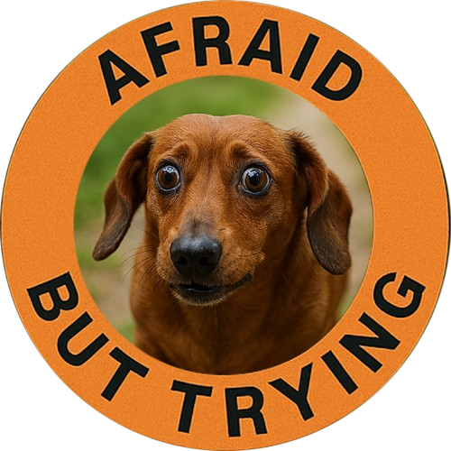Afraid But Trying T-Shirt — Cute Dachshund Motivational Tee