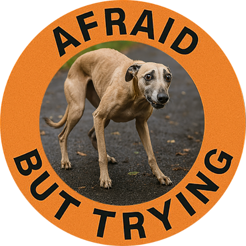 Afraid But Trying T‑Shirt — Cute Anxious Dog Graphic Tee