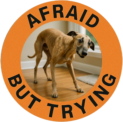 Afraid But Trying T-Shirt — Cute Anxious Dog Graphic Tee