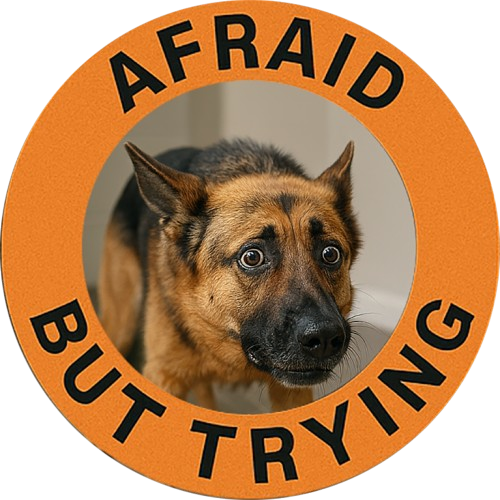 Afraid But Trying Dog T‑Shirt — Cute Encouragement Graphic Tee