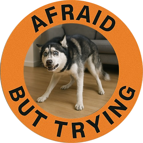 Afraid But Trying Tee — Cute Anxious Dog Graphic T-Shirt