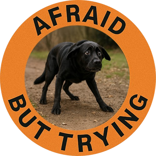 Afraid But Trying T-Shirt — Motivational Dog Graphic Tee