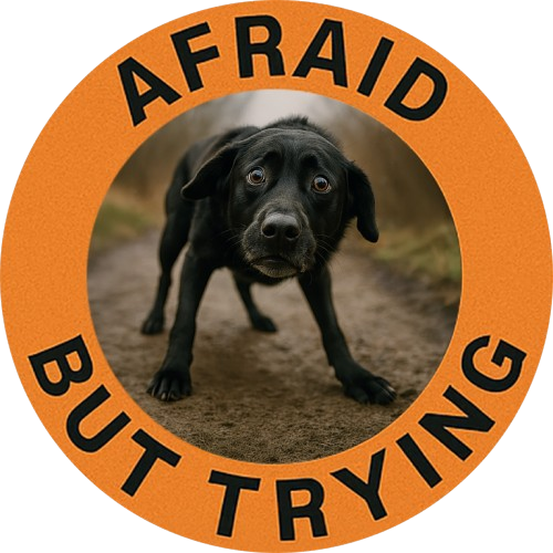 Afraid But Trying Dog Graphic Tee