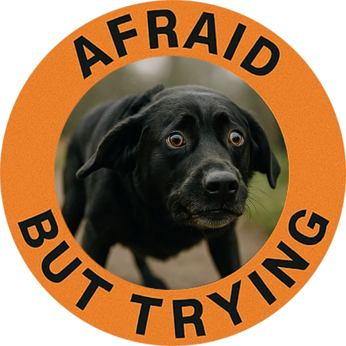 Afraid But Trying Tee — Cute Black Dog Motivational Graphic T-Shirt
