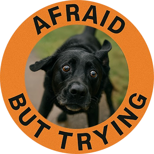 Afraid But Trying T-Shirt — Cute Nervous Dog Graphic Tee