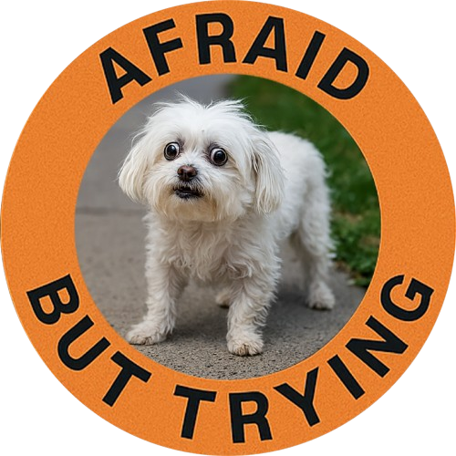 Afraid But Trying Tee — Cute Nervous Dog Graphic T-Shirt