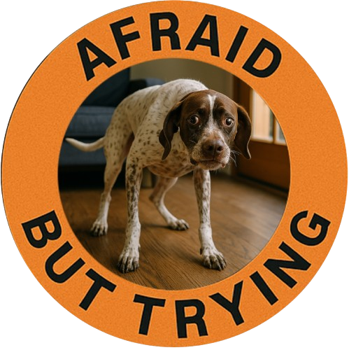 Afraid But Trying T‑Shirt — Motivational Dog Graphic Tee