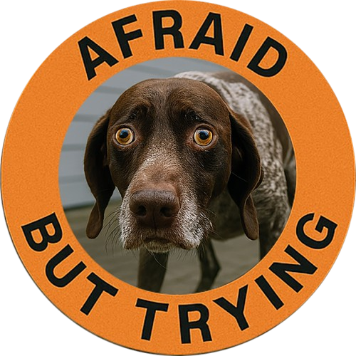 Afraid But Trying Dog T‑Shirt — Cute Motivational Graphic Tee