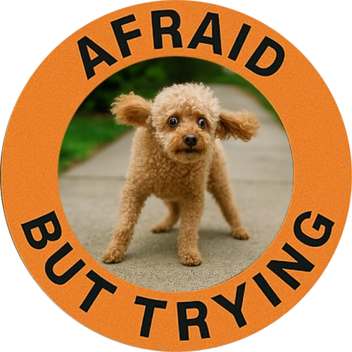 Afraid But Trying Tee — Cute Puppy Encouragement Shirt