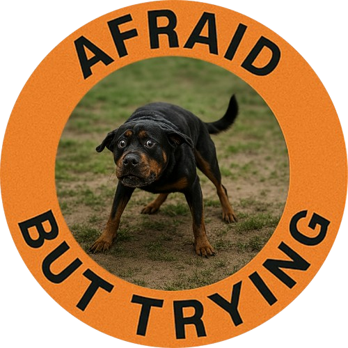 Afraid But Trying T‑Shirt — Cute Dog Encouragement Tee