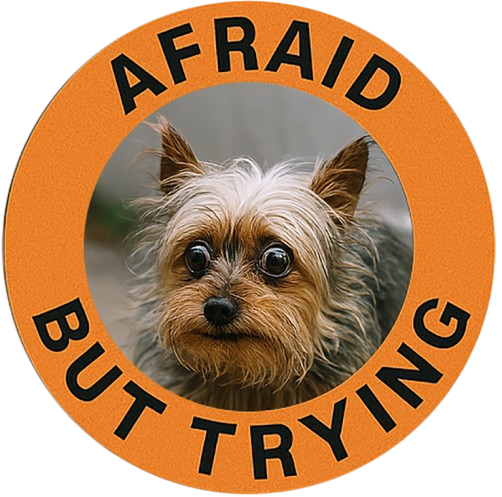 Afraid But Trying Tee — Cute Yorkie Motivational Dog T-Shirt