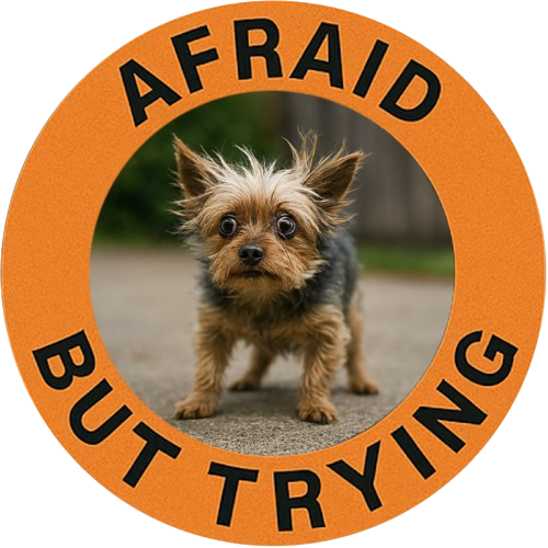 Afraid But Trying T-Shirt — Cute Yorkie Motivational Graphic Tee