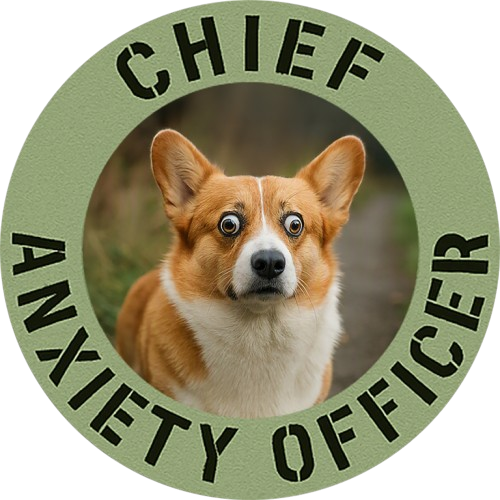 Chief Anxiety Officer T-Shirt — Cute Corgi Anxiety Officer Graphic Tee